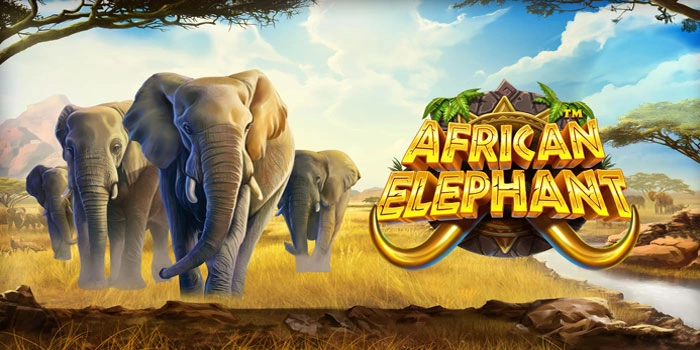 Trik Praktis Menang Besar di Slot African Elephant
